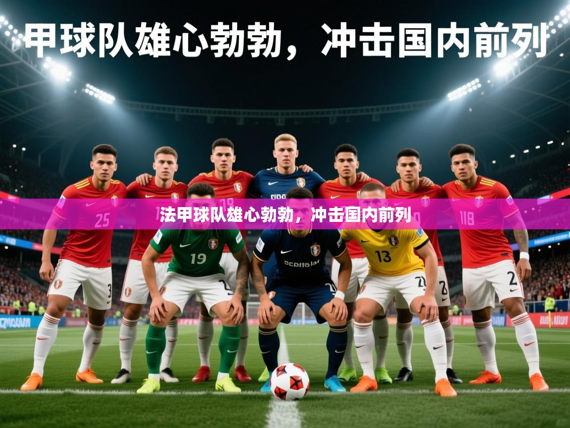 2025 完美体育下载法甲球队雄心勃勃,冲击国内前列 第1张