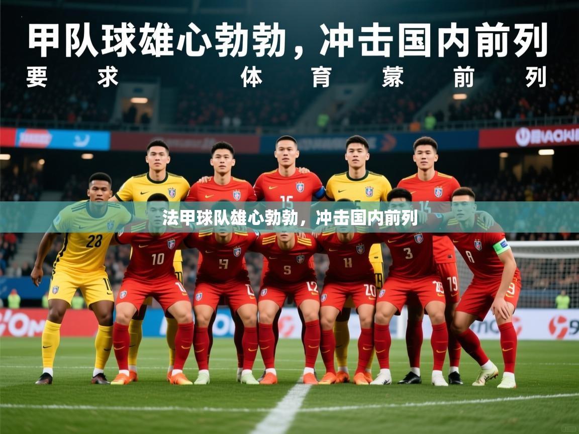 2025 完美体育下载法甲球队雄心勃勃,冲击国内前列 第3张