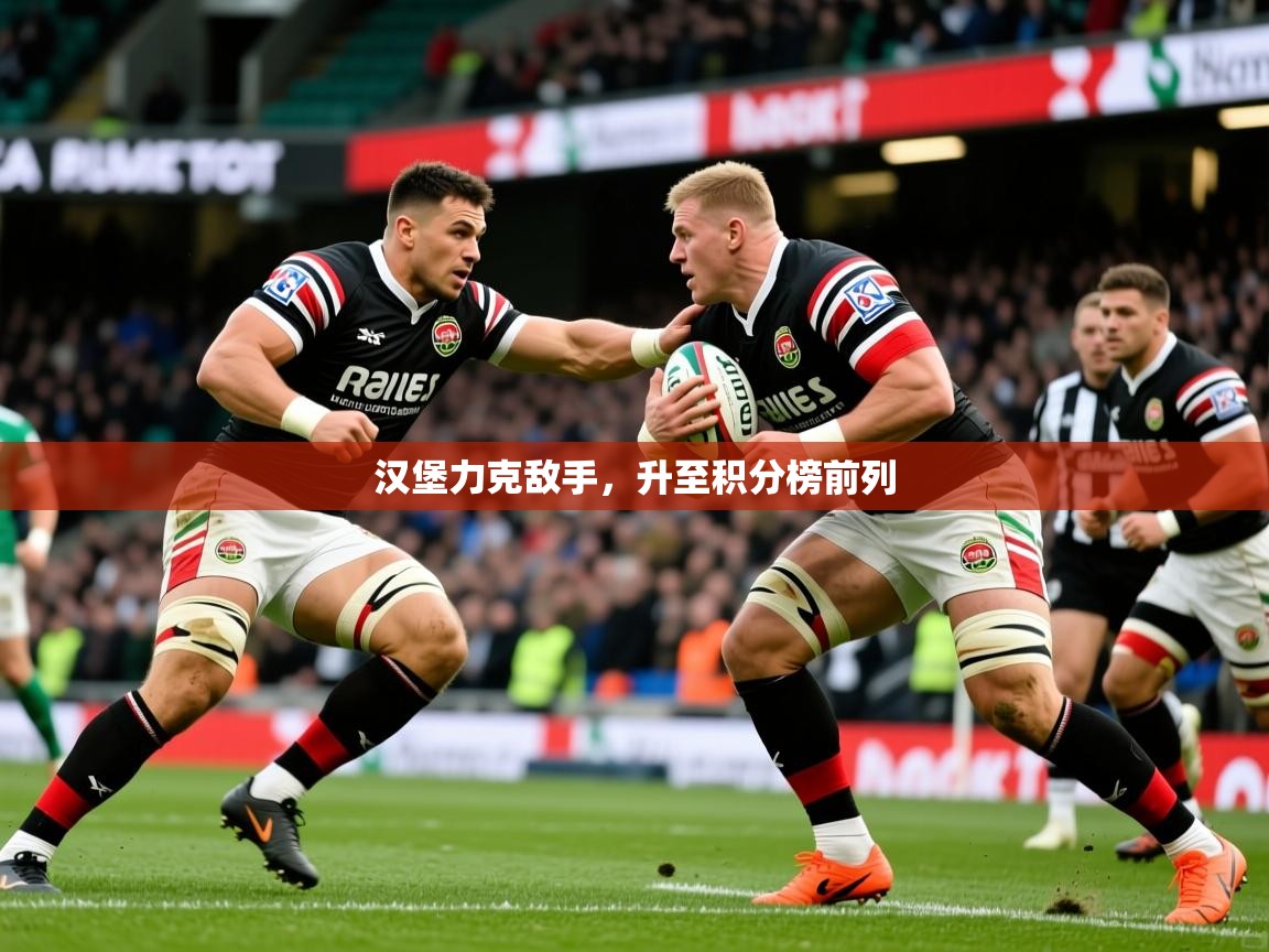 2026 完美体育官网汉堡力克敌手，升至积分榜前列  第3张